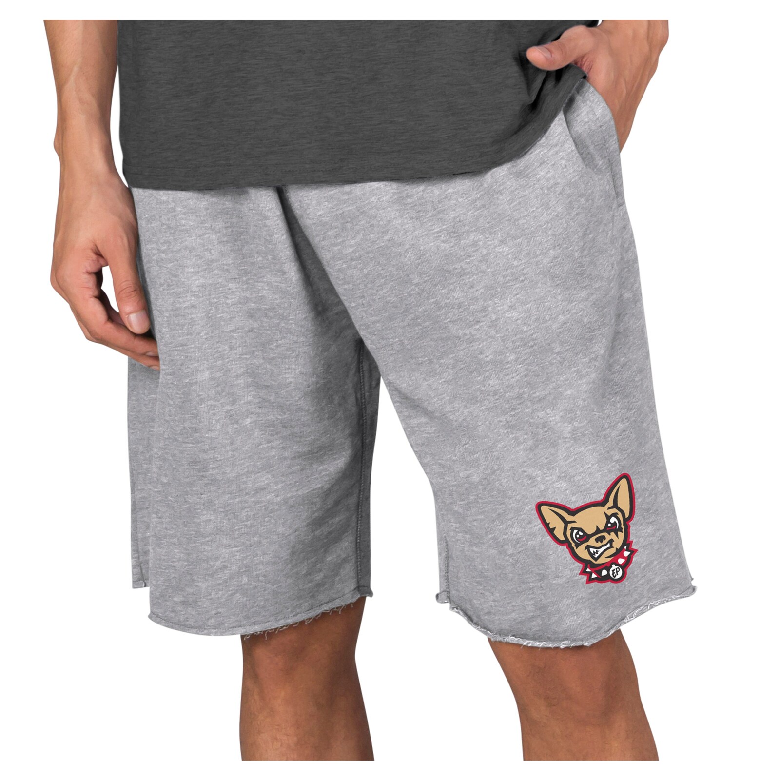 남성용 El Paso Chihuahuas Concepts Sport 그레이 메인스트림 트라이블렌드 반바지