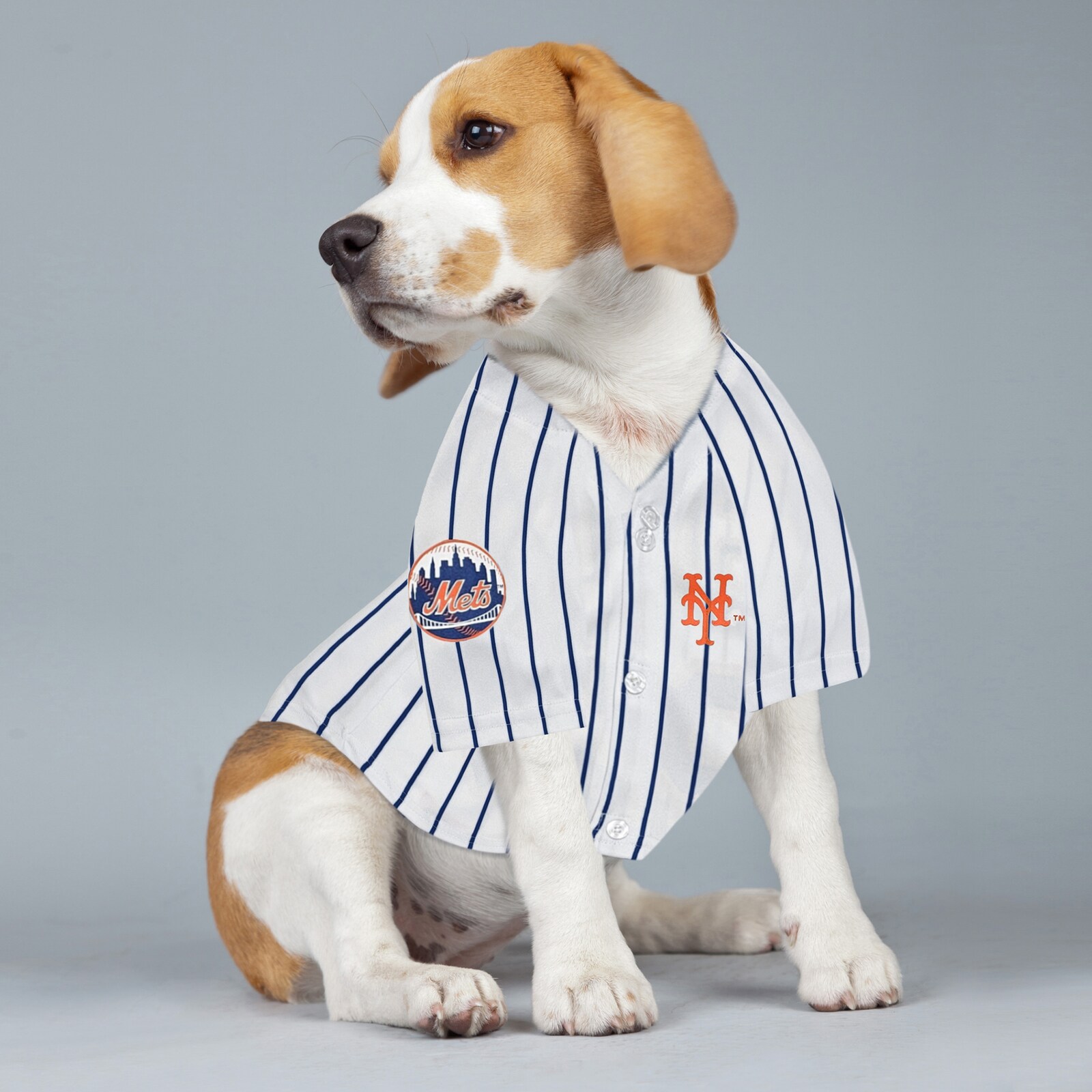 New York Mets Juan Soto 화이트 반려동물용 저지 상세 이미지 5
