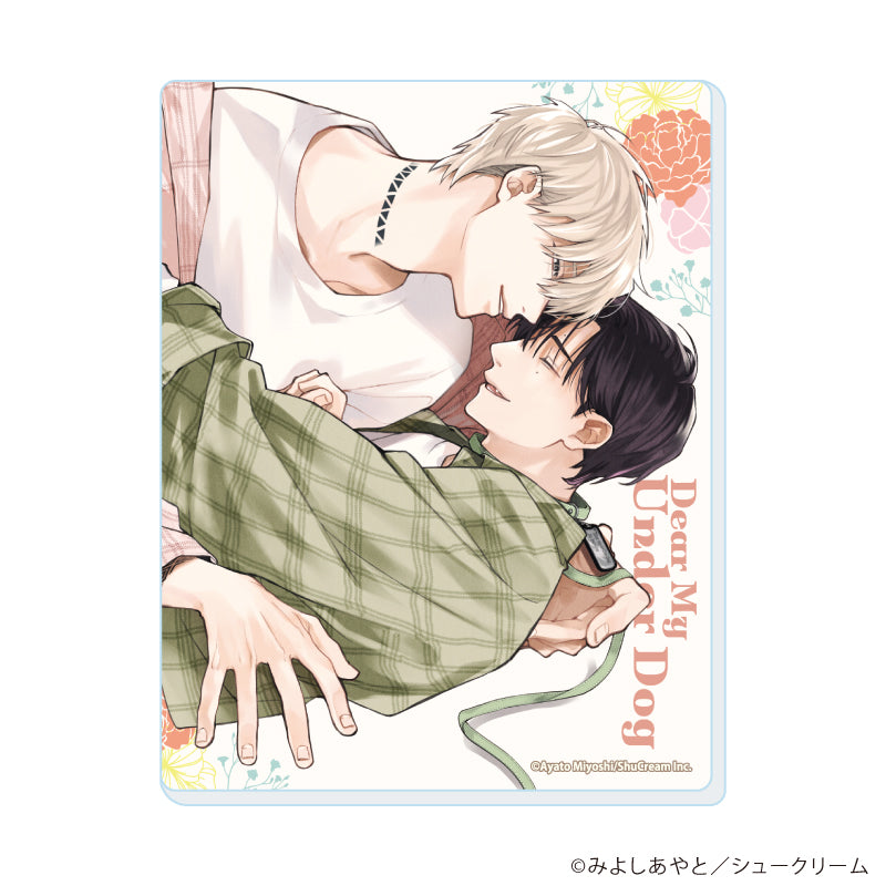 (1BOX=8)(굿즈 - 카드) Dear My Underdog 01 (공식 & 한정 일러스트) 상세 이미지 3