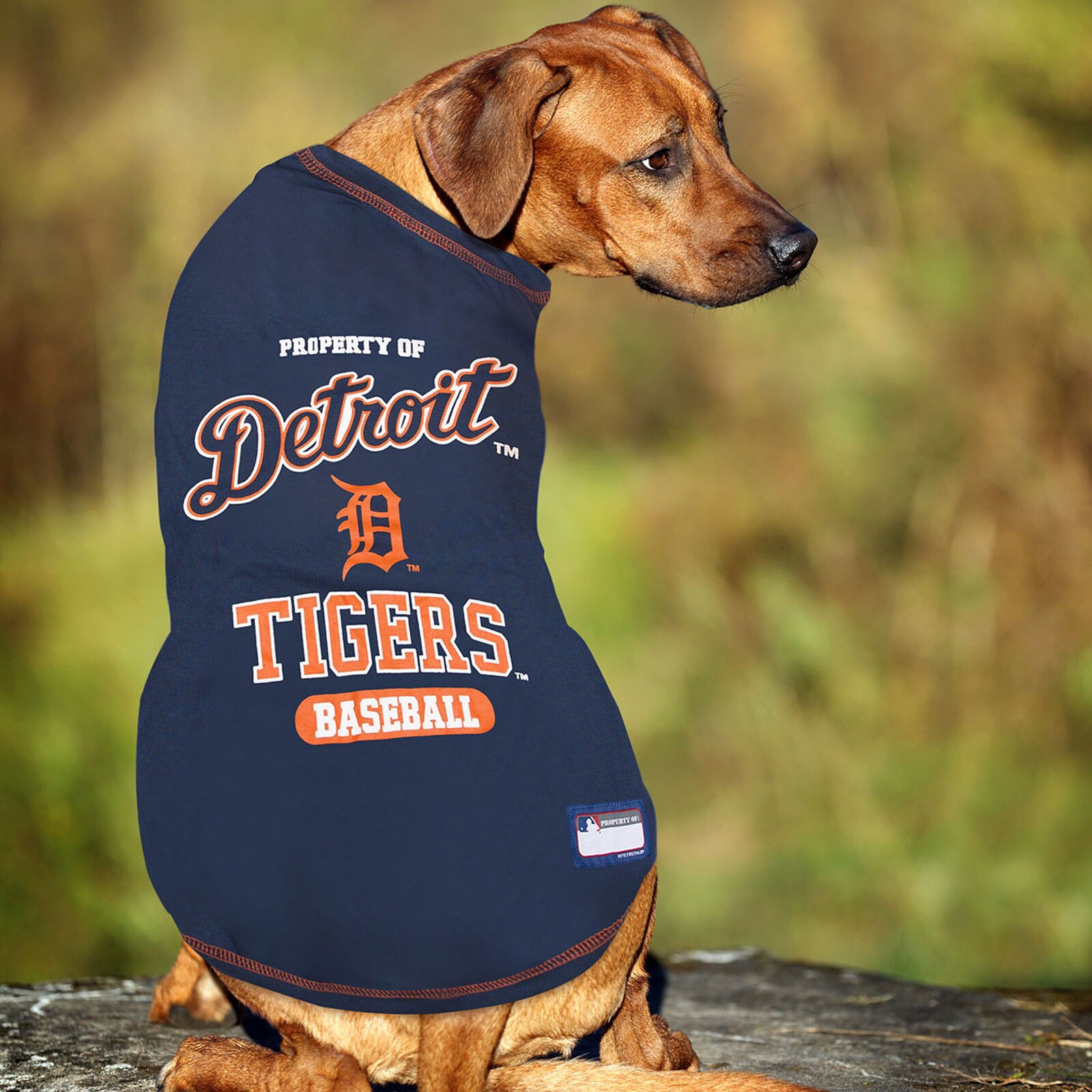 Detroit Tigers 반려동물 티셔츠 상세 이미지 4