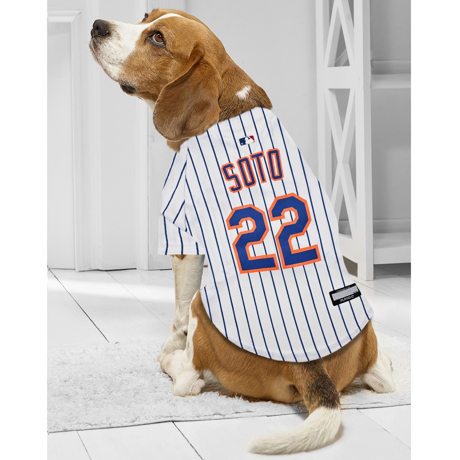 New York Mets Juan Soto 화이트 반려동물용 저지 상세 이미지 4