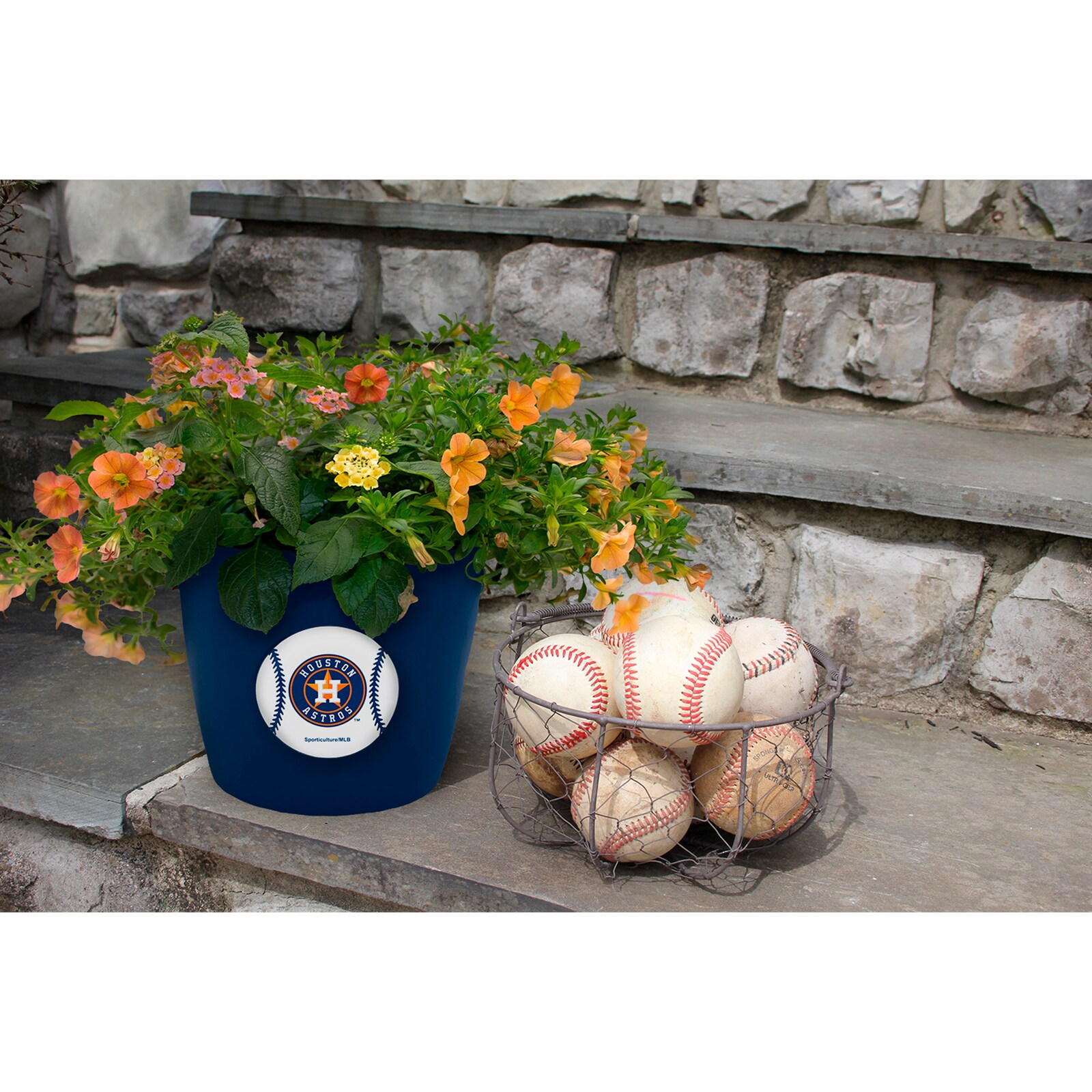 Houston Astros 2팩 Team Pride Button 화분 세트 상세 이미지 3
