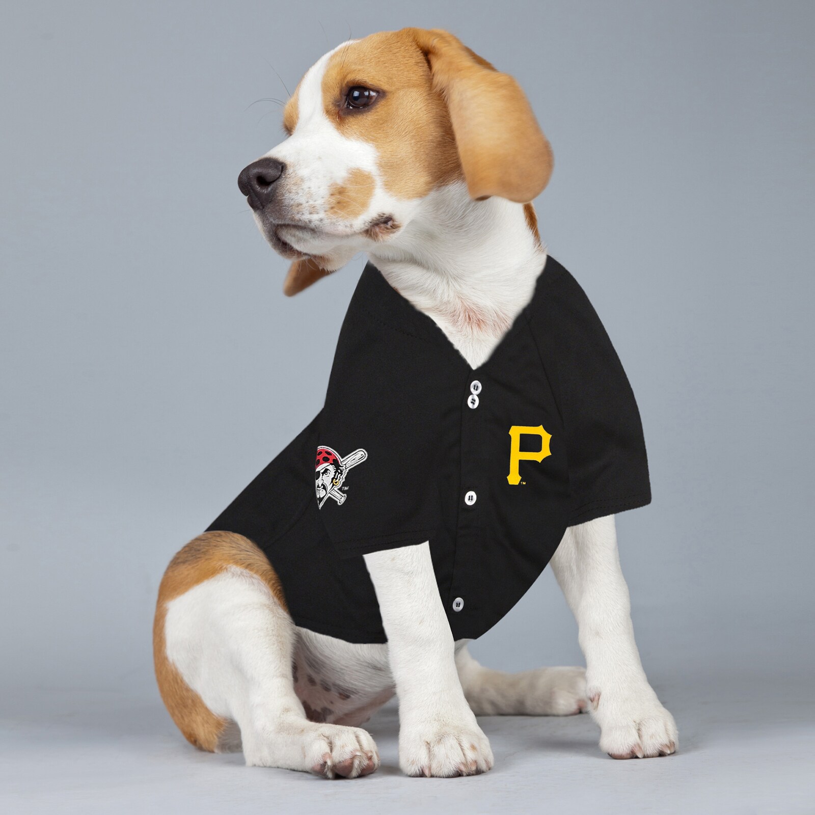 Pittsburgh Pirates Paul Skenes 블랙 선수용 반려동물 유니폼 상세 이미지 5