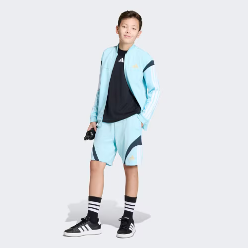 House of Tiro Shorts 상세 이미지 5
