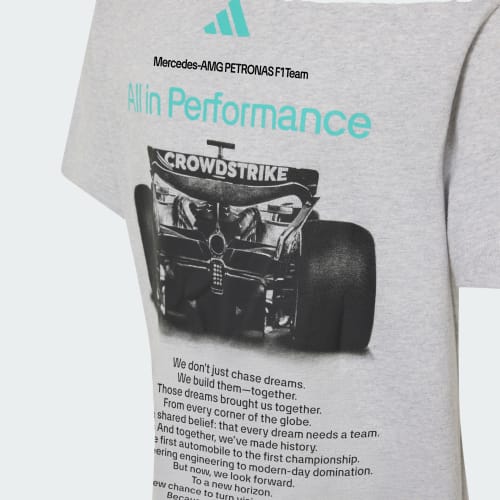 MERCEDES - AMG PETRONAS FORMULA 1 TEAM GRAPHIC TEE 상세 이미지 5