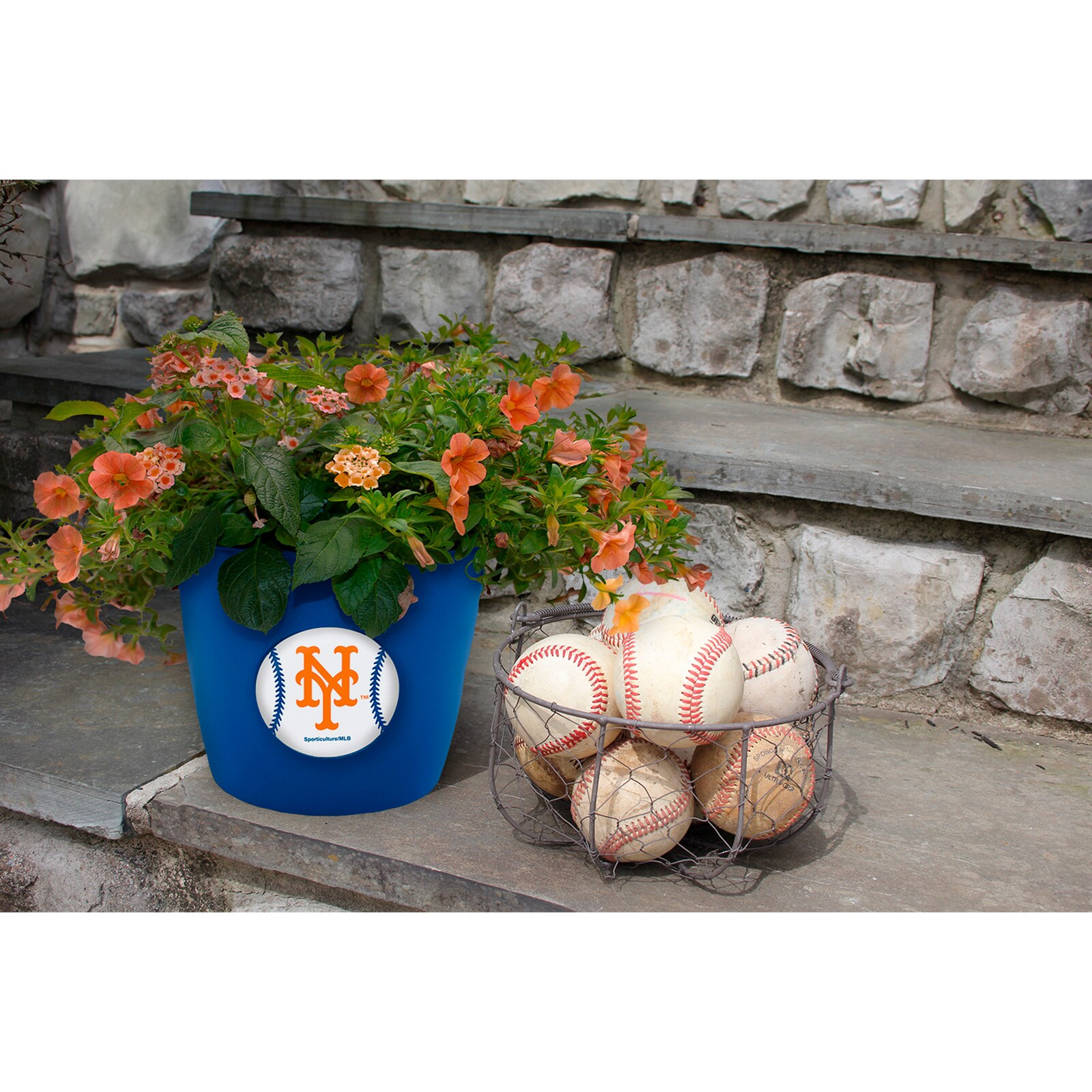 New York Mets 2개입 Team Pride Button 화분 세트 상세 이미지 3