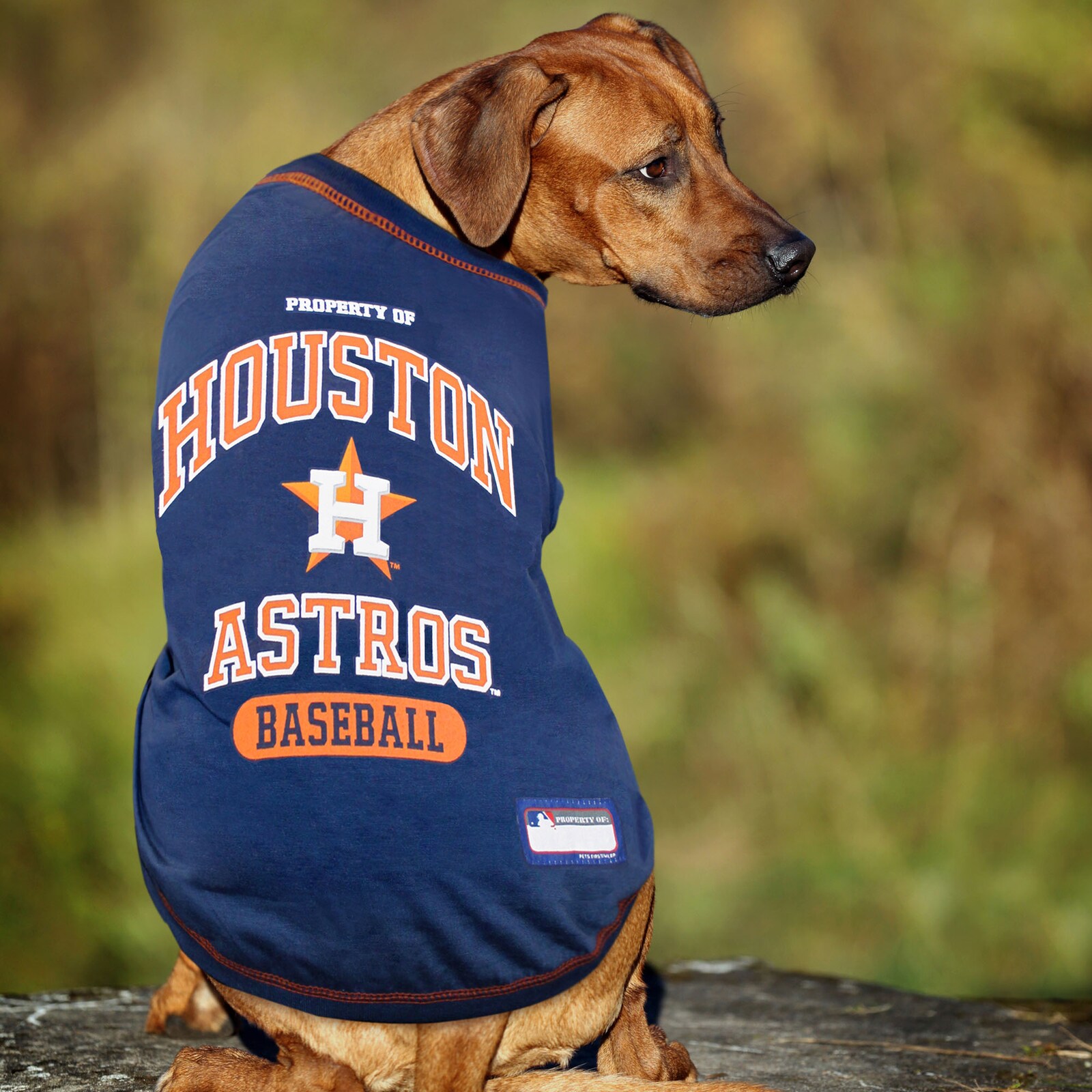 Houston Astros 반려동물 티셔츠 상세 이미지 4
