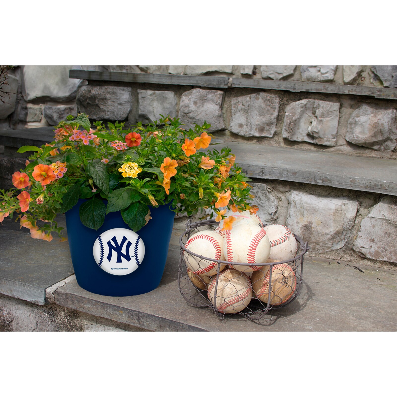 New York Yankees 2개입 Team Pride Button 화분 세트 상세 이미지 3