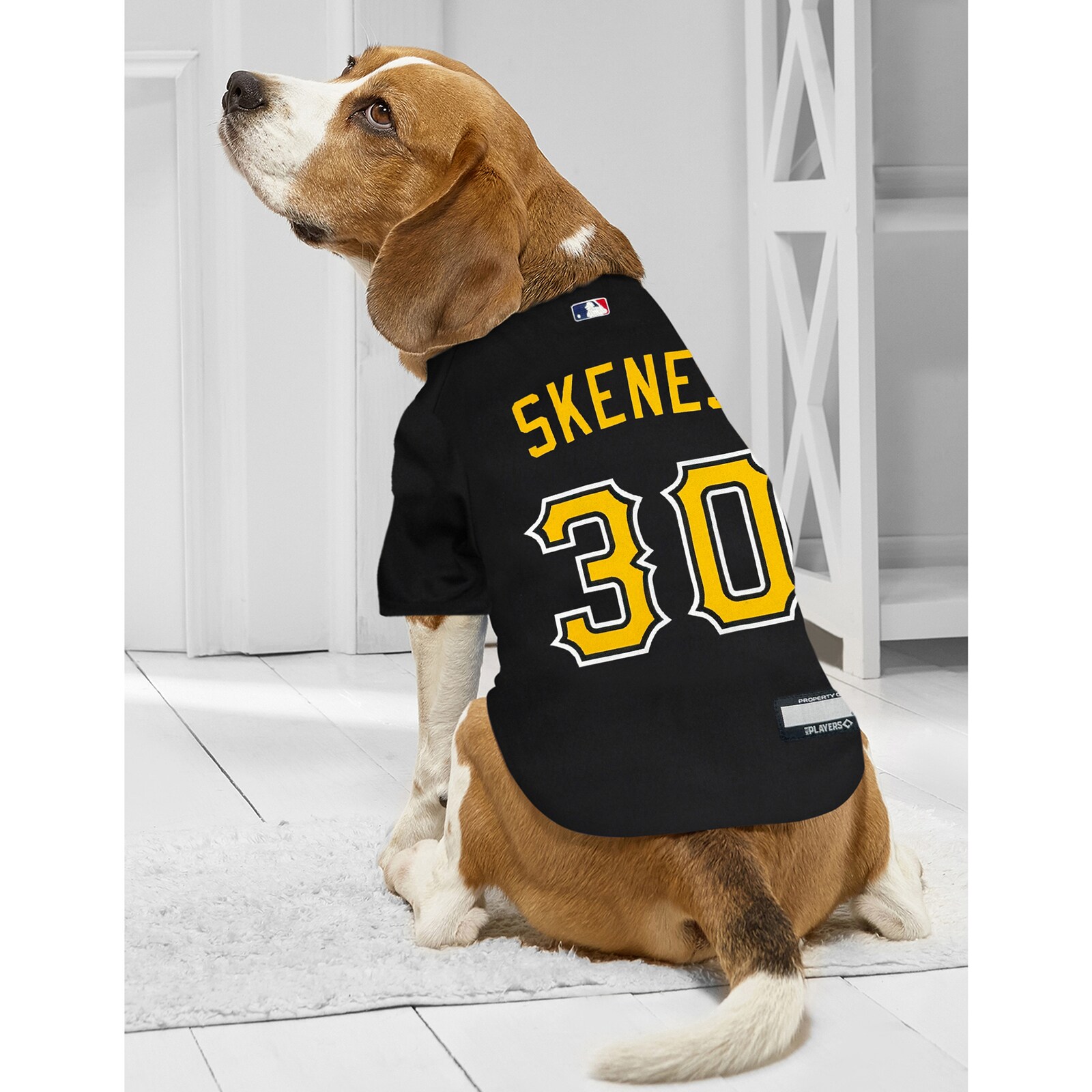 Pittsburgh Pirates Paul Skenes 블랙 선수용 반려동물 유니폼 상세 이미지 4