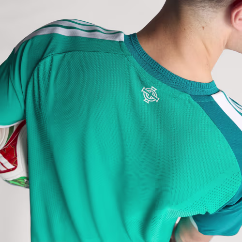 Northern Ireland 26 Home Authentic Jersey 상세 이미지 8