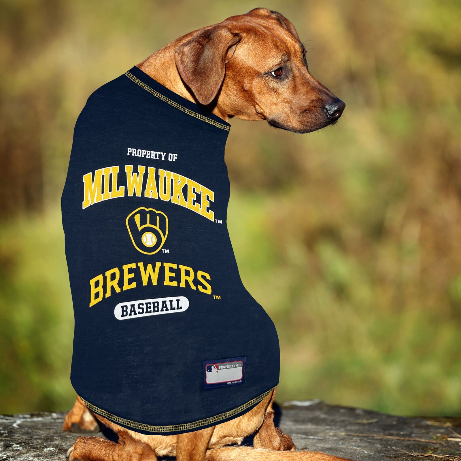 Milwaukee Brewers 펫 티셔츠 상세 이미지 4
