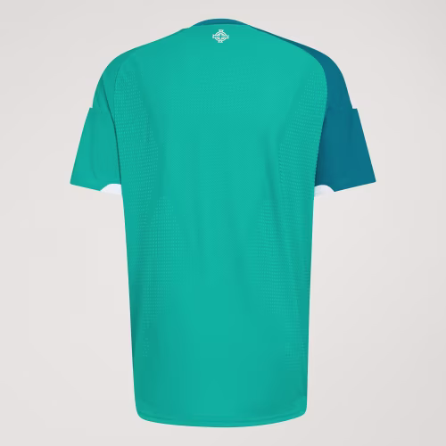 Northern Ireland 26 Home Authentic Jersey 상세 이미지 5