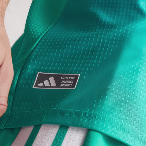Northern Ireland 26 Home Authentic Jersey 상세 이미지 9