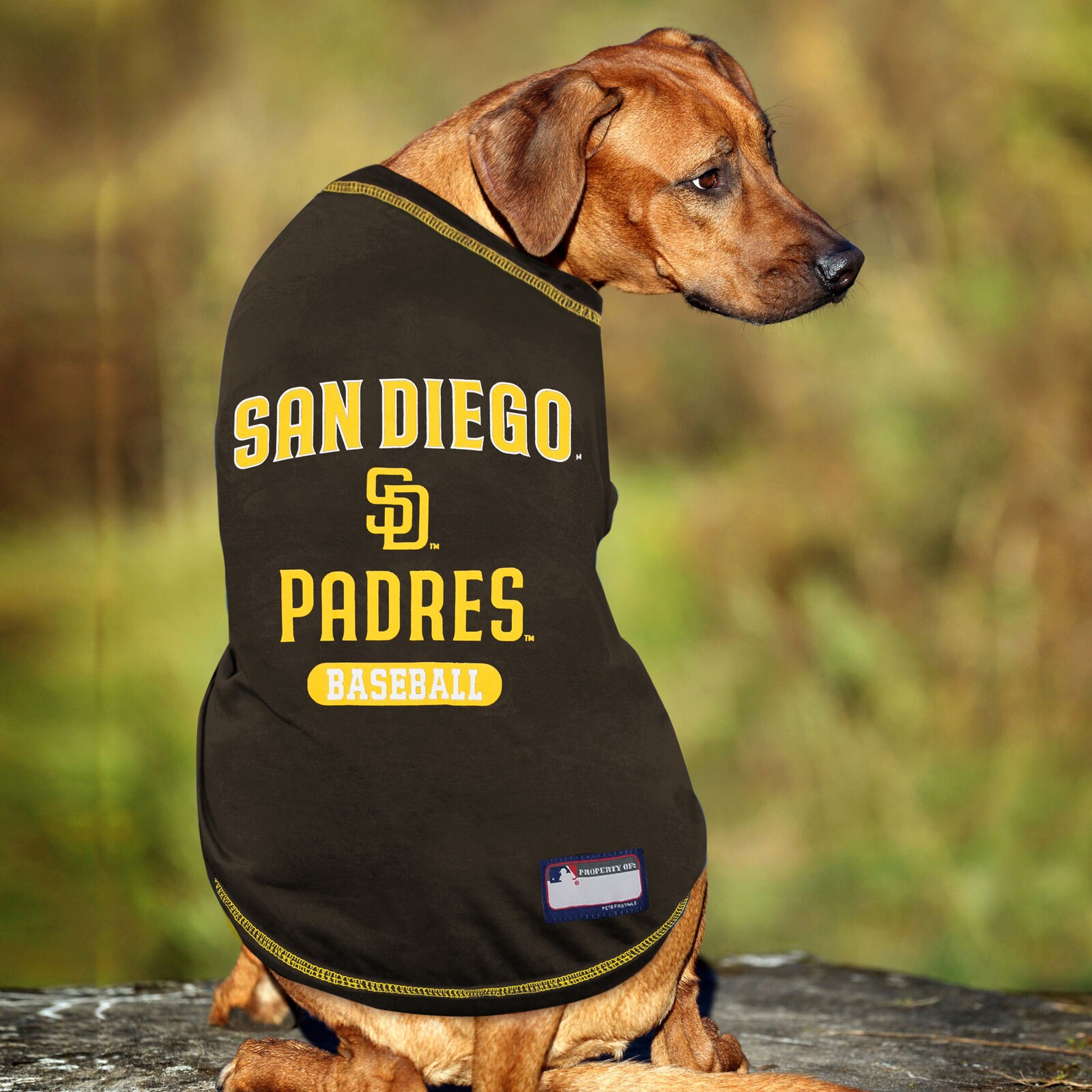 San Diego Padres 반려동물 티셔츠 상세 이미지 4