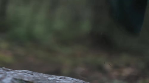 Terrex Soulstride Trail Running Shoes 상세 이미지 2