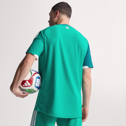 Northern Ireland 26 Home Authentic Jersey 상세 이미지 2