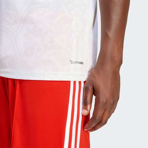 SL Benfica 26/27 Away Jersey 상세 이미지 7