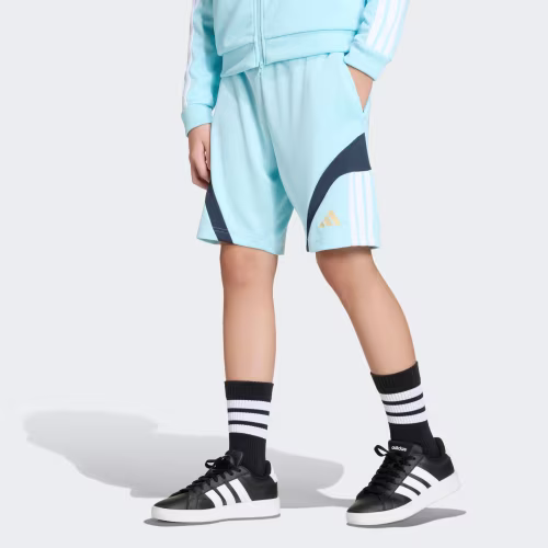 House of Tiro Shorts 상세 이미지 3
