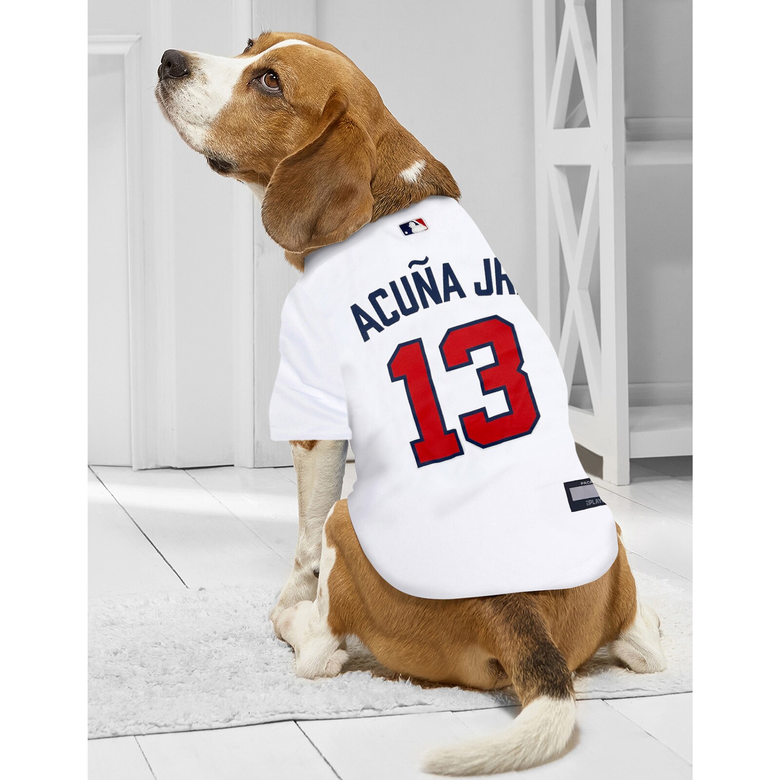 Atlanta Braves Ronald Acuna 화이트 선수 반려동물 저지 상세 이미지 4